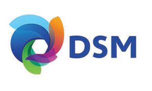 dsm